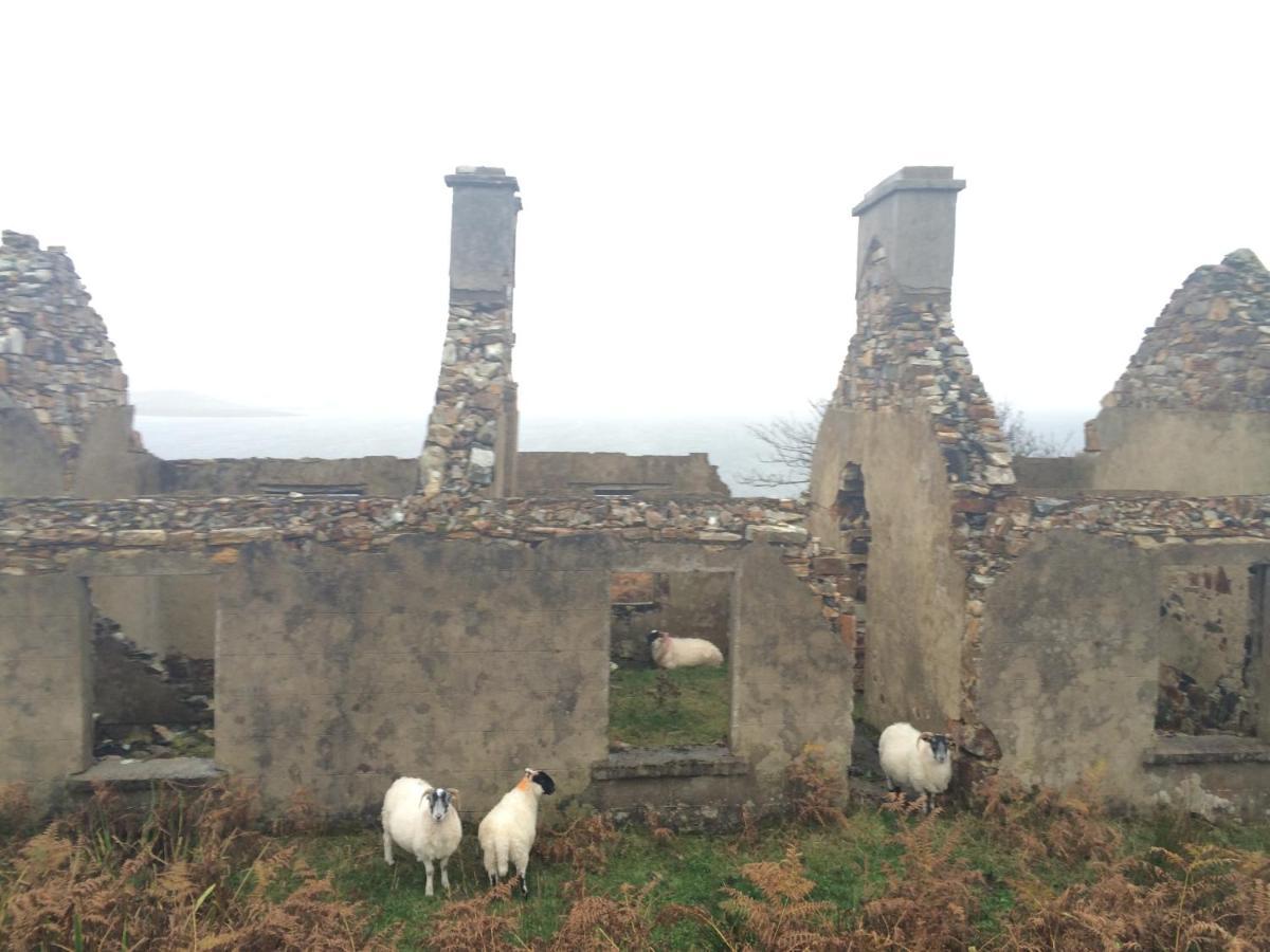 Bed and Breakfast Ardcrone House à Dungloe Extérieur photo